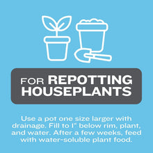 Potting mix label for repotting houseplants with potting directions