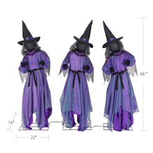 Member's Mark Pre-Lit Animated Witches, Set of 3