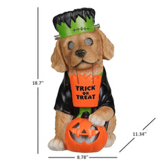 Member's Mark Pre-Lit Wonky Eye Character Decor - USA MEGA SHOP