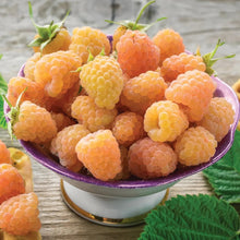 Orange raspberries piled in a bowl with stems and green leaves