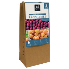 Raspberry plant 2-pack box with front label and berry photos