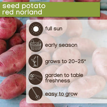 Seed potato variety card for red norland with planting icons