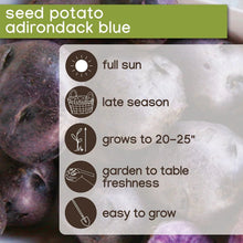 Seed potato variety card for adirondack blue with planting icons
