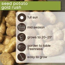Seed potato gold rush label with growing tips on potato bag