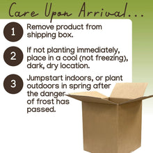 Care instructions card above a cardboard shipping box