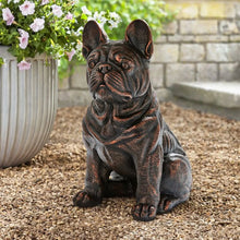 Sitting French bulldog statue, dark gray stone-look finish with textured face and paws