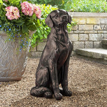 Dark bronze sitting Labrador dog statue with detailed face and paws