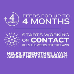 Member's Mark Southern Weed & Feed 12M