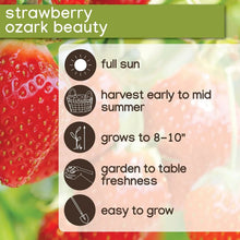 Strawberry care information panel with sun and harvest icons