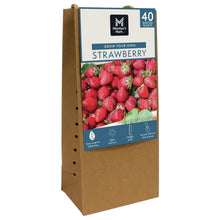 Cardboard strawberry planting box labeled 40 plants