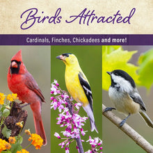 Wild bird food package panel with cardinals, finches, and chickadees on branches