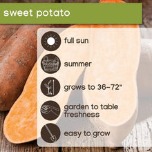 Sweet potatoes with one sliced open, showing orange interior and brown skins