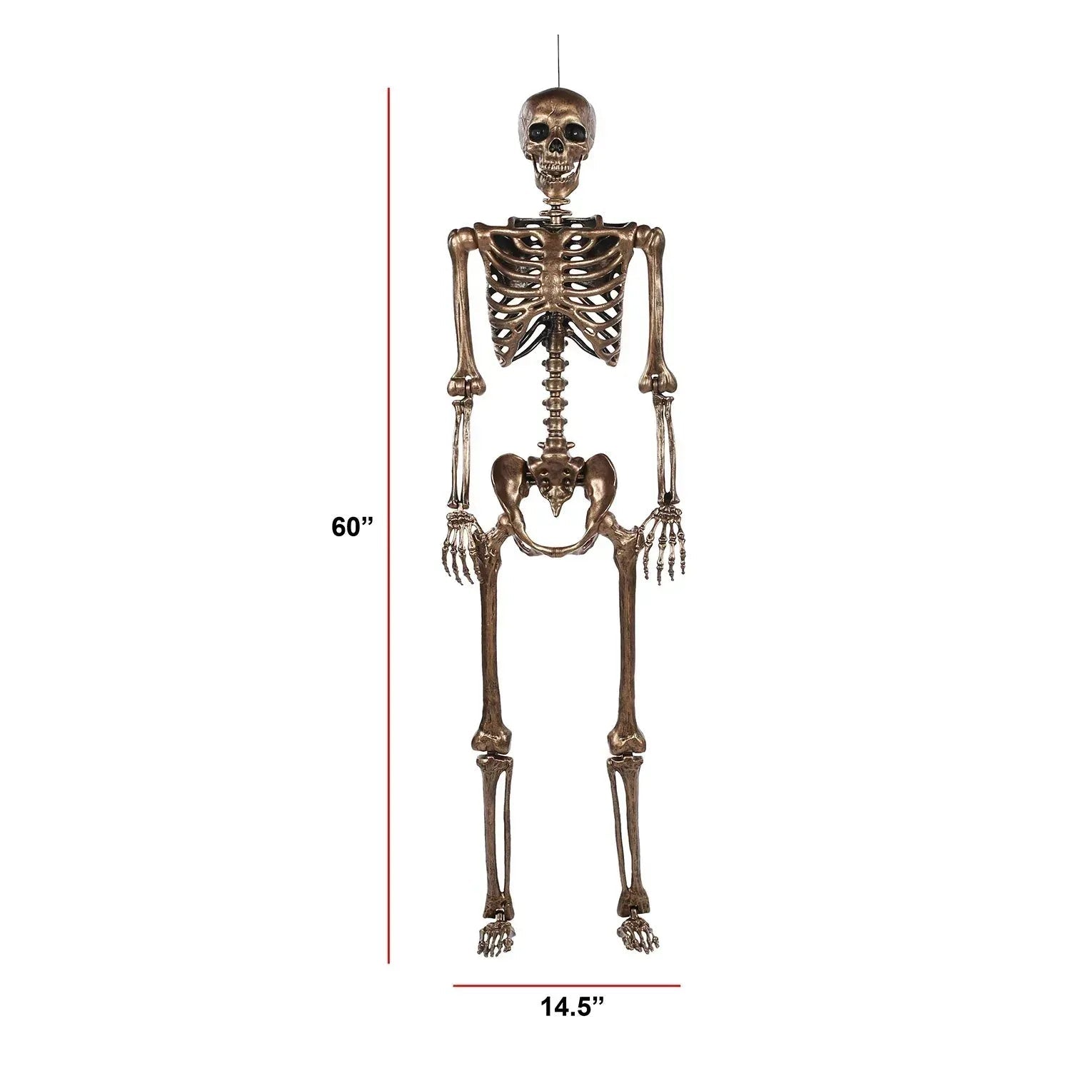Member's Mark Talking Skeletons, Set of 2