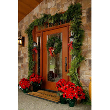 Member's Mark Western Red Cedar Garland, 25 ft.