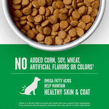 Dog food kibble bowl with 'No added corn, soy, wheat' and skin & coat benefits