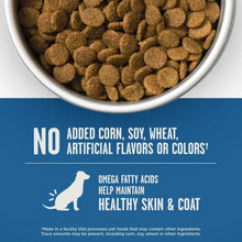 Dry dog food kibble pellets in metal bowl, text-free view