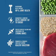 Dry dog food ingredient collage with green peas, grains, and beef