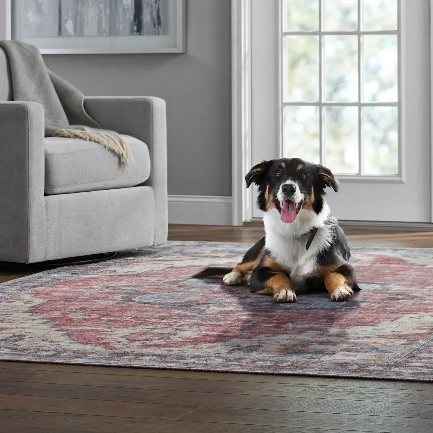 Member's Mark Everwash Washable Area Rug, 6'6"x 9'6", Assorted Colors