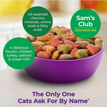 Colorful bowl of multicolored cat kibble with vitamin and mix callouts