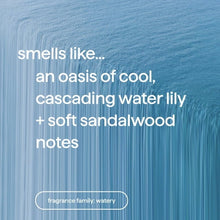 Foaming hand soap refill scent notes panel, watery fragrance family