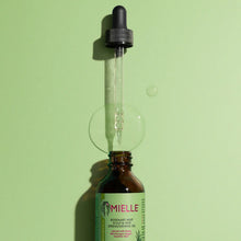 Mielle rosemary mint scalp & hair strengthening oil bottle with dropper tip