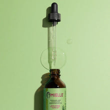 Rosemary mint scalp and hair strengthening oil bottle with dropper above
