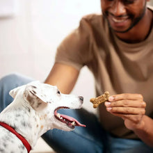 Dog reaching for a bone-shaped biscuit held by a person