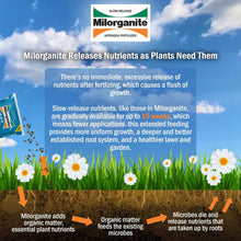 Lawn fertilizer infographic about slow-release nutrients, with flowers and soil arrows