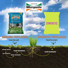 Lawn fertilizer infographic comparing organic vs synthetic fertilizers feeding soil or plant