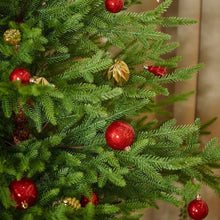 Red and gold hanging Christmas baubles on green tree branches