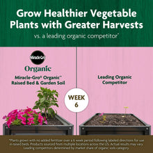 Organic raised bed garden soil package in comparison infographic for harvests
