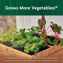 Vegetable plants growing in raised bed filled with garden soil mix