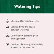 Raised bed garden soil watering tips checklist with icons