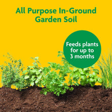 Garden soil in a garden bed with leafy plants