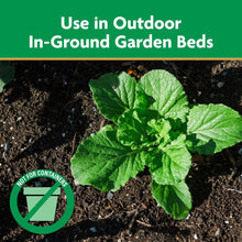 Garden soil in an outdoor in-ground bed with a leafy seedling