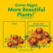 Garden soil results illustration with yellow and orange flowers