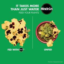 Plant feeding results graphic with fed and unfed flower illustrations