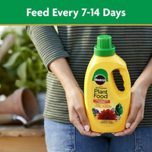Plant food concentrate bottle held in hands outdoors