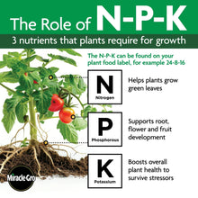 N-P-K nutrients infographic showing nitrogen, phosphorus, and potassium for growth