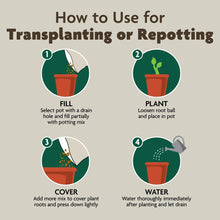 Miracle-Gro Organic Indoor Potting Mix how-to-use graphic for transplanting or repotting