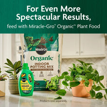 Miracle-Gro Organic Indoor Potting Mix bag with 'feed with plant food' banner