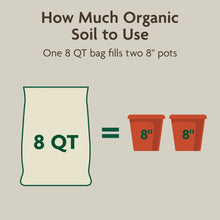 Miracle-Gro Organic Indoor Potting Mix 8 qt bag usage chart for two 8 in pots