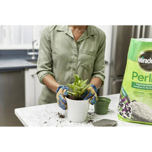 Perlite bag and potted plant as perlite granules spread on top of soil