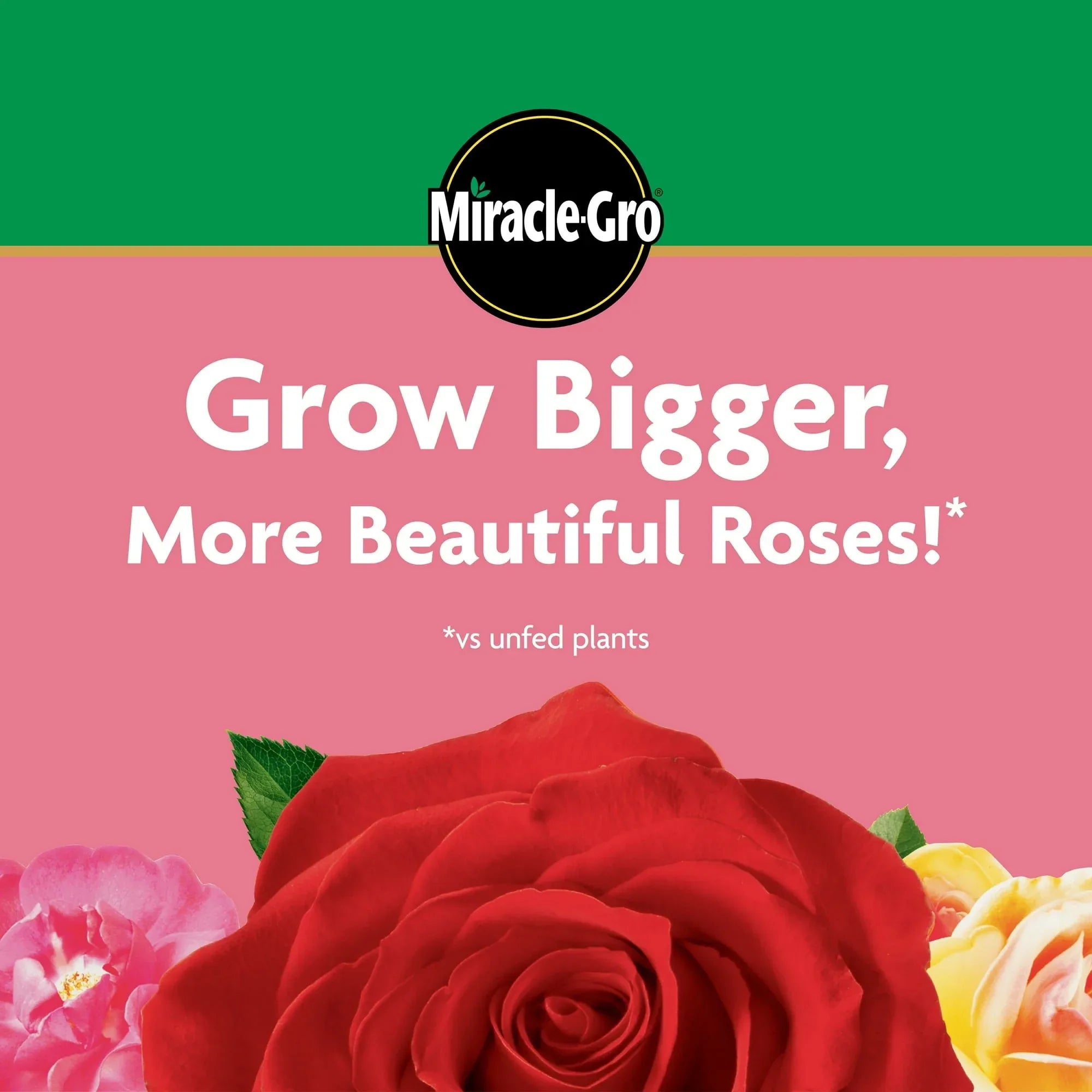 Miracle-Gro Water Soluble Rose Plant Food