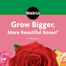 Miracle-Gro Rose Plant Food “Grow Bigger, More Beautiful Roses” banner with rose image
