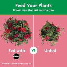 Miracle-Gro Rose Plant Food “Feed Your Plants” vs unfed rose results illustration
