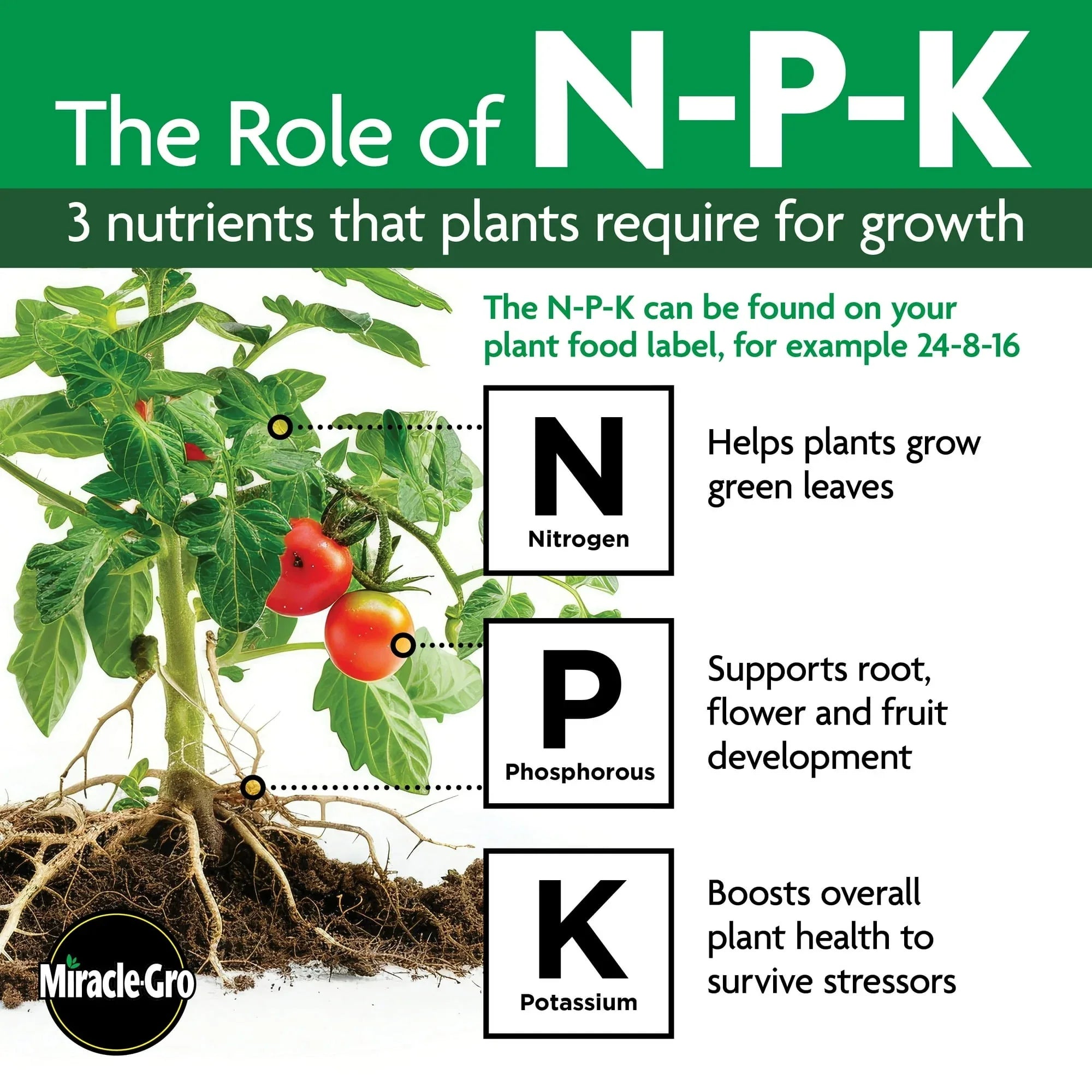 Miracle-Gro Shake 'N Feed All Purpose Plant Food, Use In Ground and Containers, 4.5 lbs.