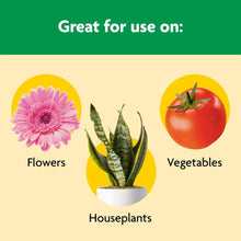 Plant food use infographic for flowers, vegetables, and houseplants