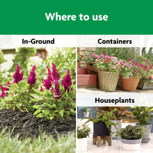 Plant food use infographic for in-ground, containers, and houseplants