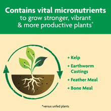 Plant food ingredients infographic with kelp, earthworm castings, feather meal, bone meal